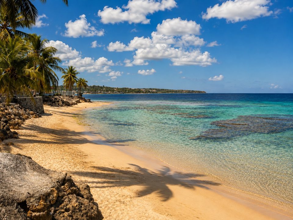 The beach in front of the complex: pale sand, a rock shelf and turquoise shallows, palms along the shore