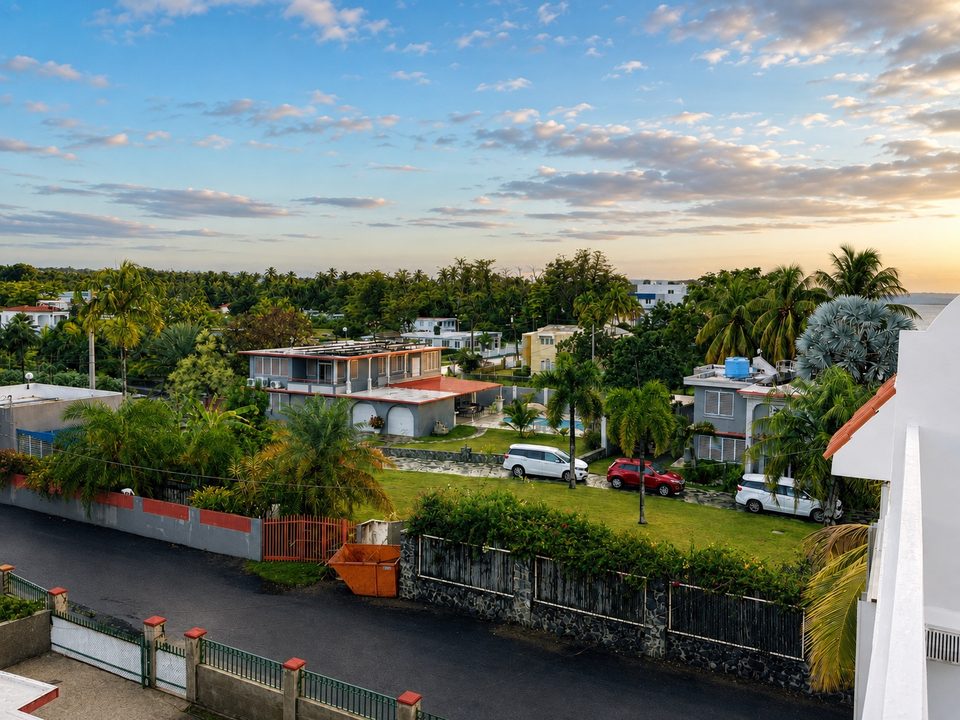 The view inland from the terrace over rooftops, palms and trees